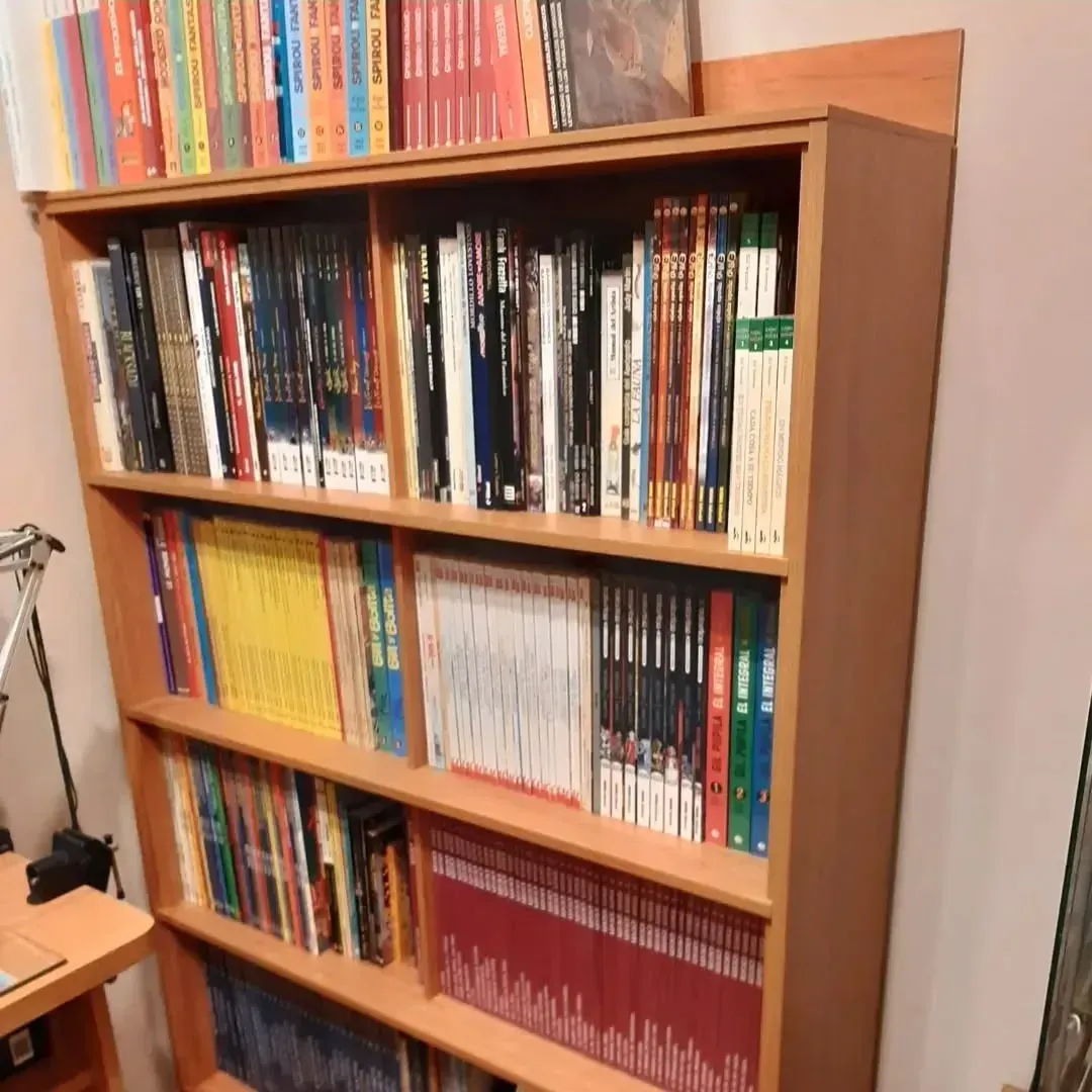 Estantería llena de libros de varios tamaños y colores, en un mueble de madera contra una pared.