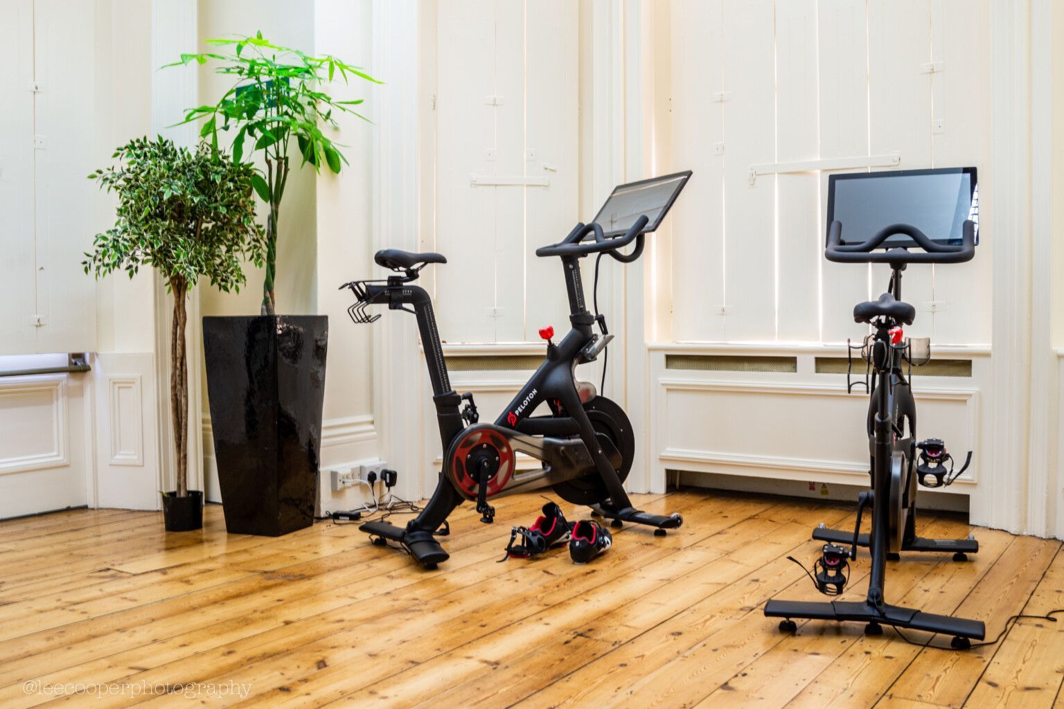 Two black Peloton bikes in a room with wood flooring, potted plant, and white walls.