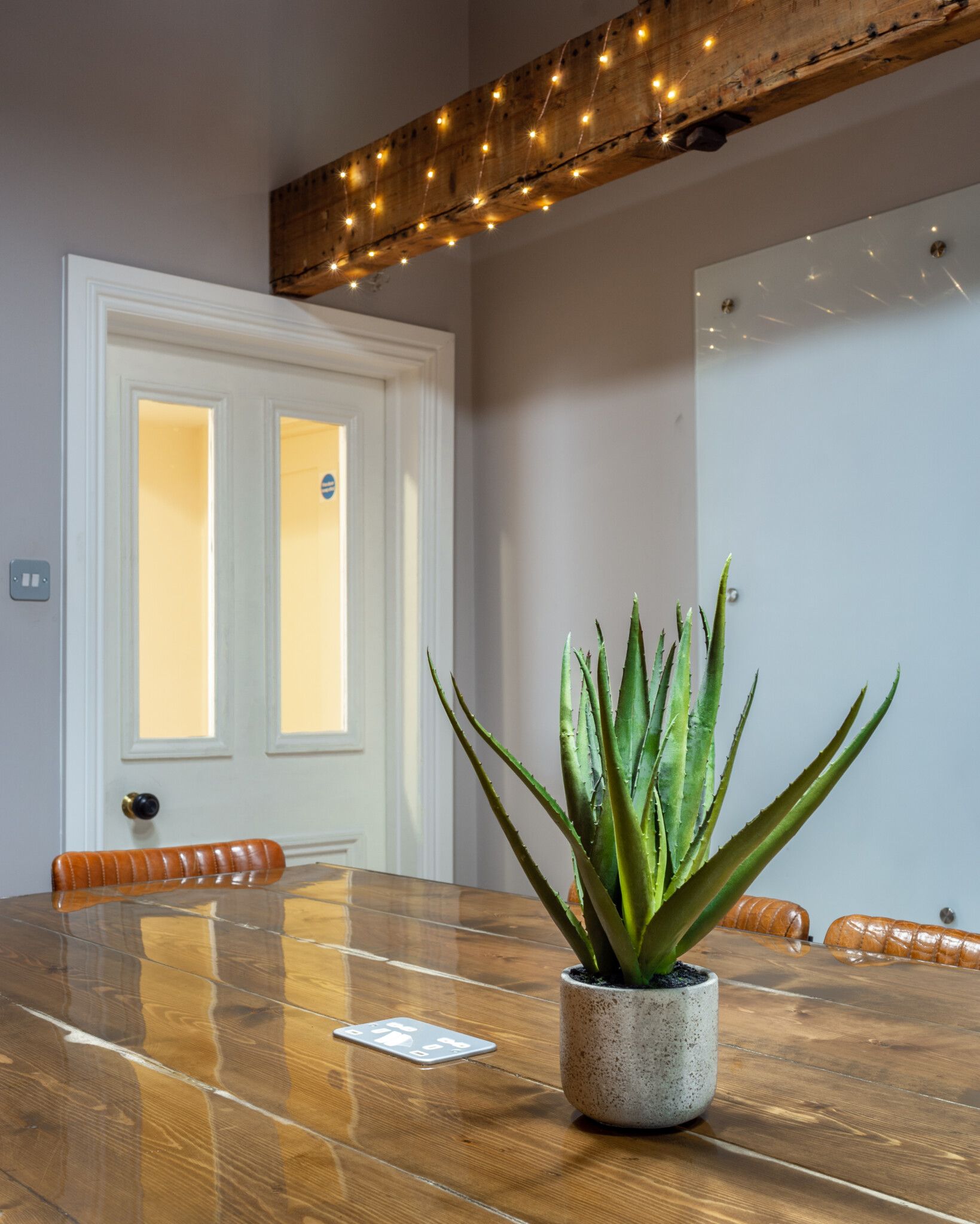 Meeting room with a wooden table, aloe vera plant, and a white door with lights.