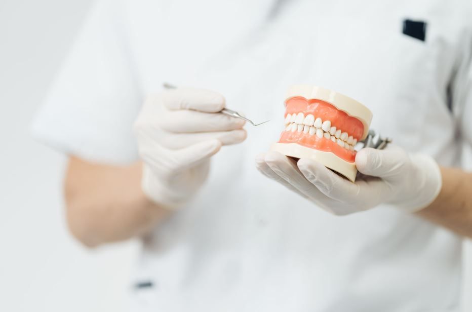 Dentista sosteniendo un modelo dental y un instrumento mientras usa guantes blancos en un entorno clínico.