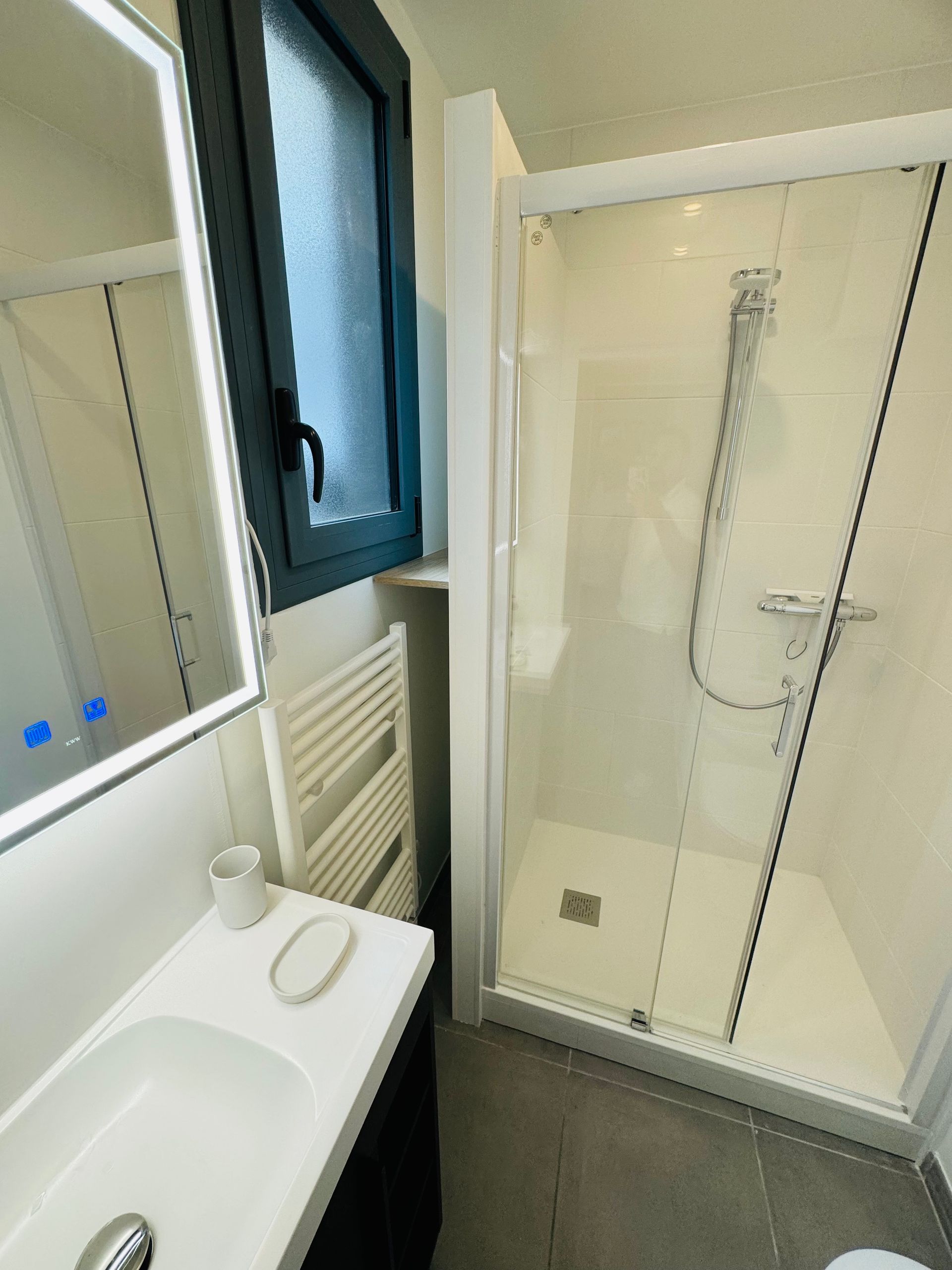 Cabine de douche et sèche-serviettes