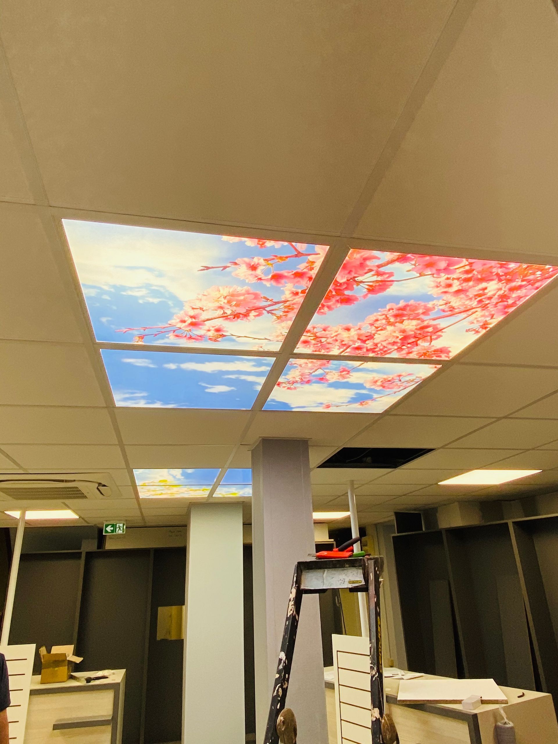 Installation électrique dans un bureau