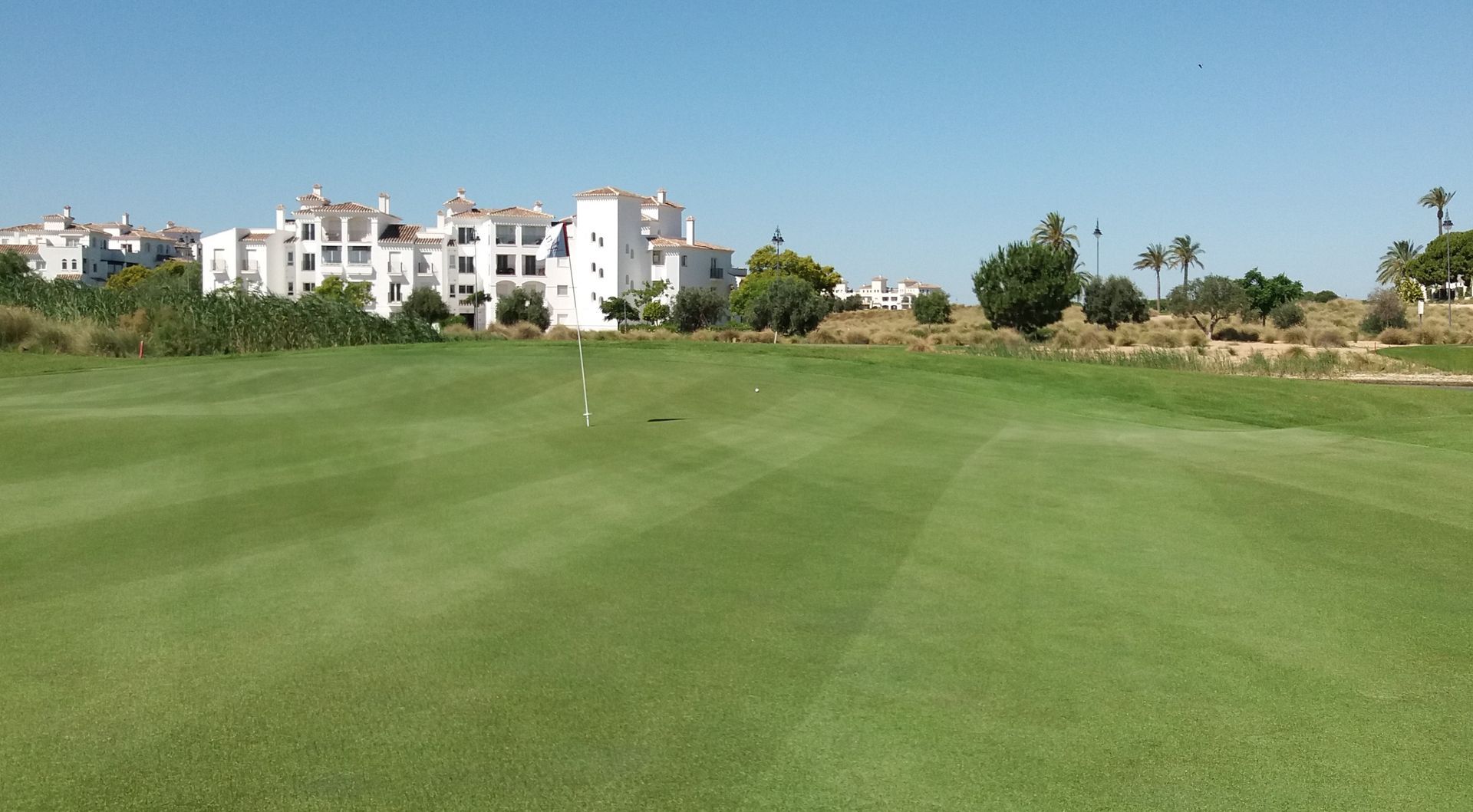 A golf course with white buildings in the background