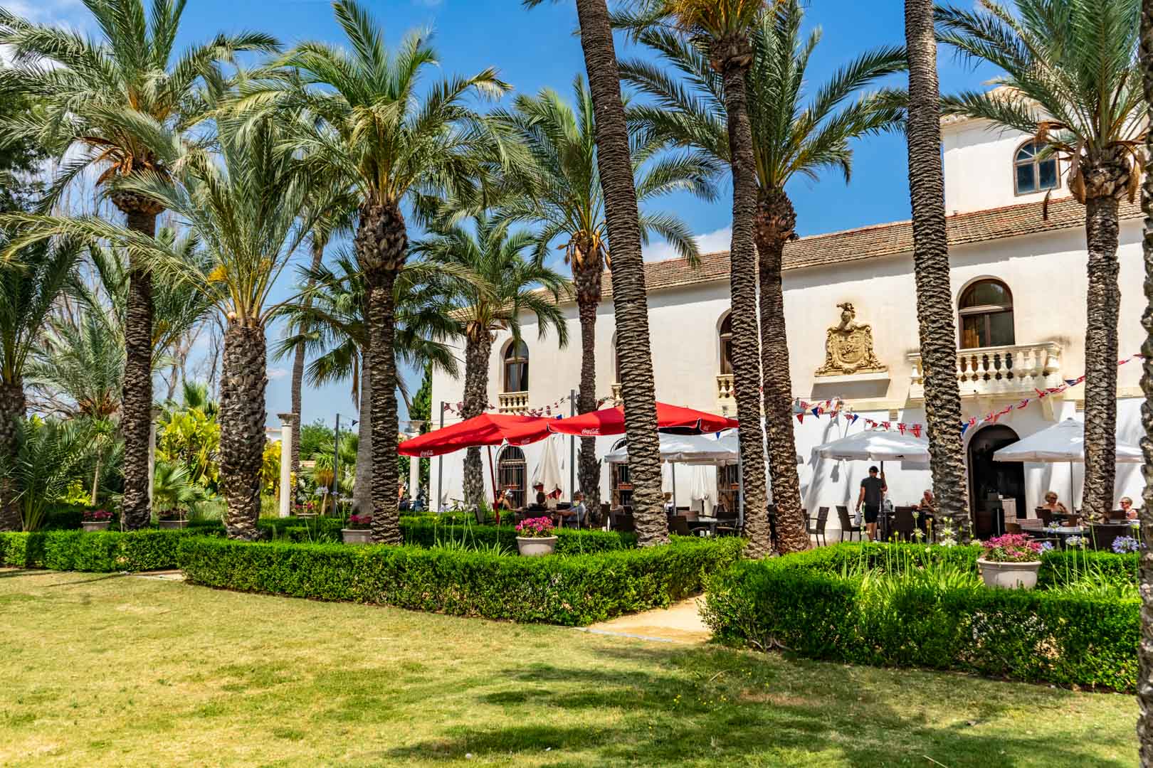 A white building with palm trees in front of it
