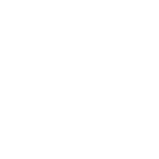 Icon Handbuch