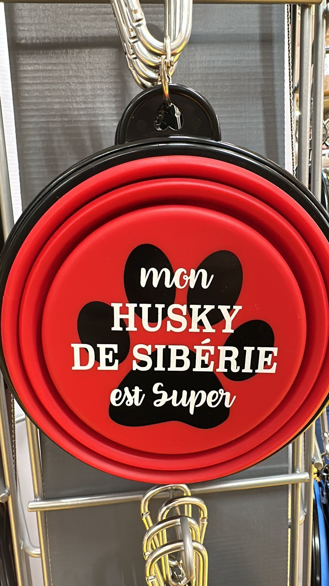 Accessoires pour chien avec inscription : mon HUSKY DE SIBÉRIE est super.