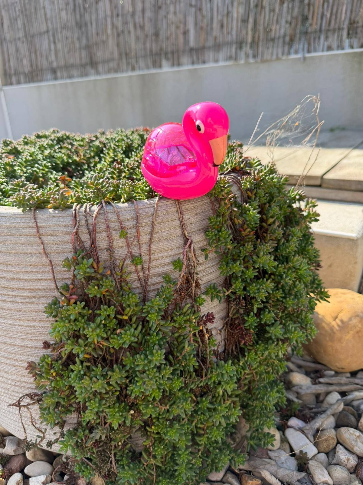 Un flamant rose ornemental, perché sur un arbuste vert dans une jardinière remplie de galets.