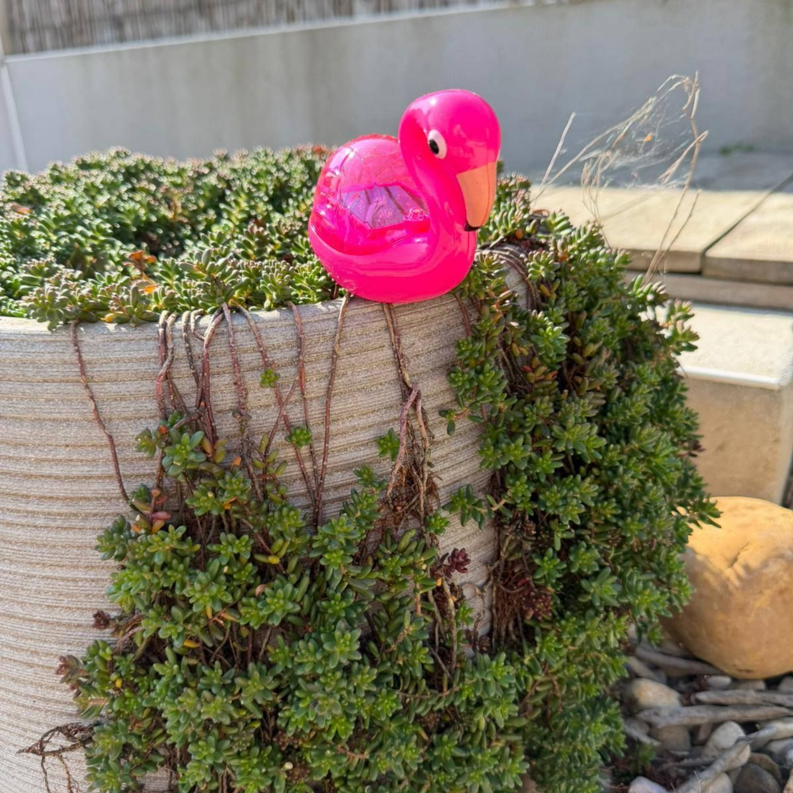 Flamant rose décoratif sur une petite jardinière recouverte d'arbustes à l'extérieur.