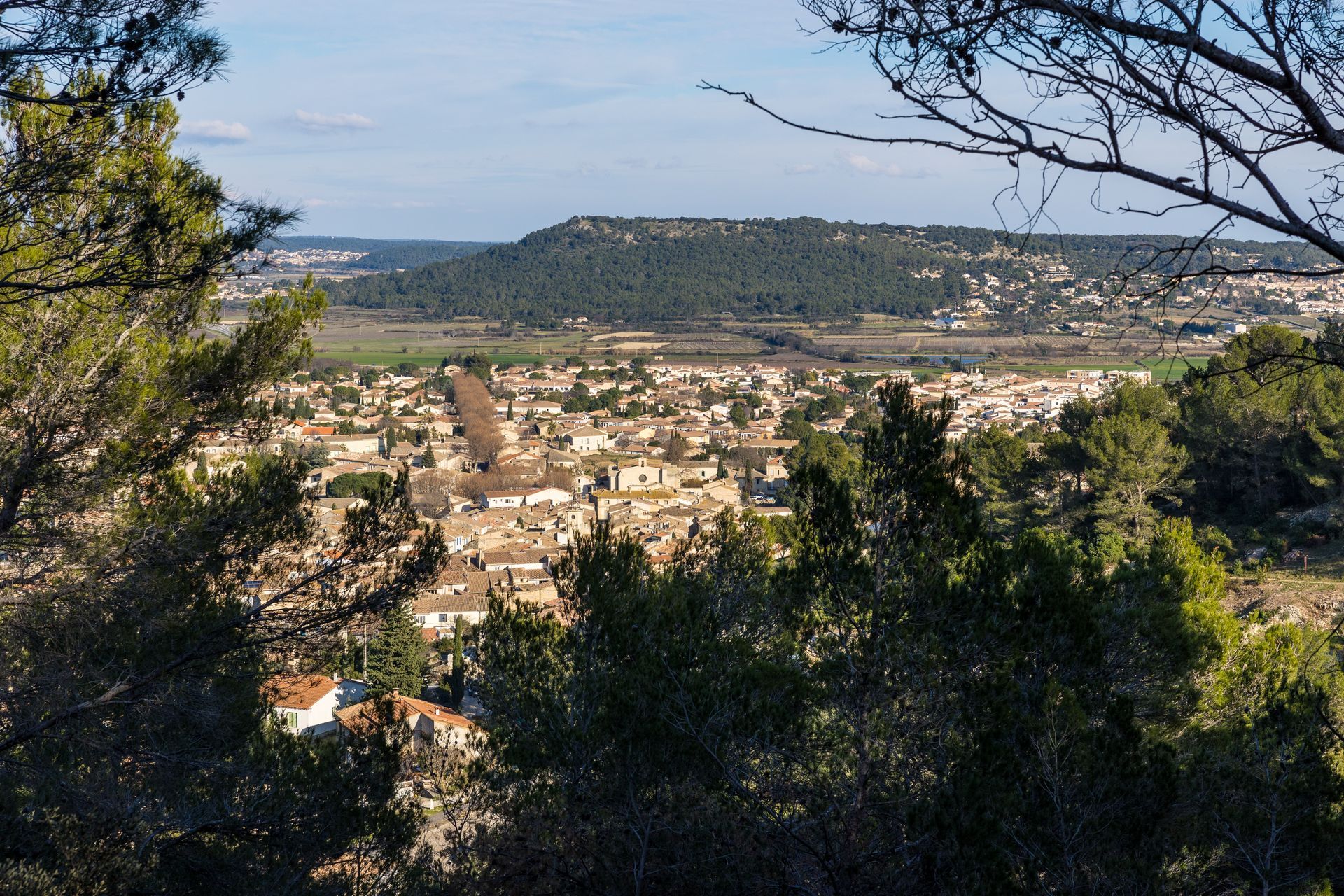 Vue de la ville de Calvisson ensoleillée dans une vallée, encadrée par des arbres, avec une colline en arrière-plan.