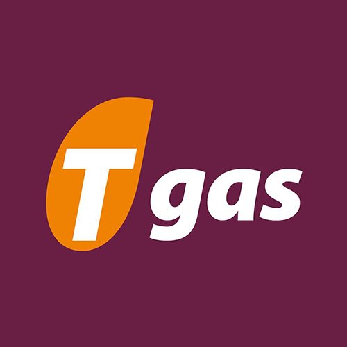 Tgas Las Caletillas, gasolineras en Candelaria