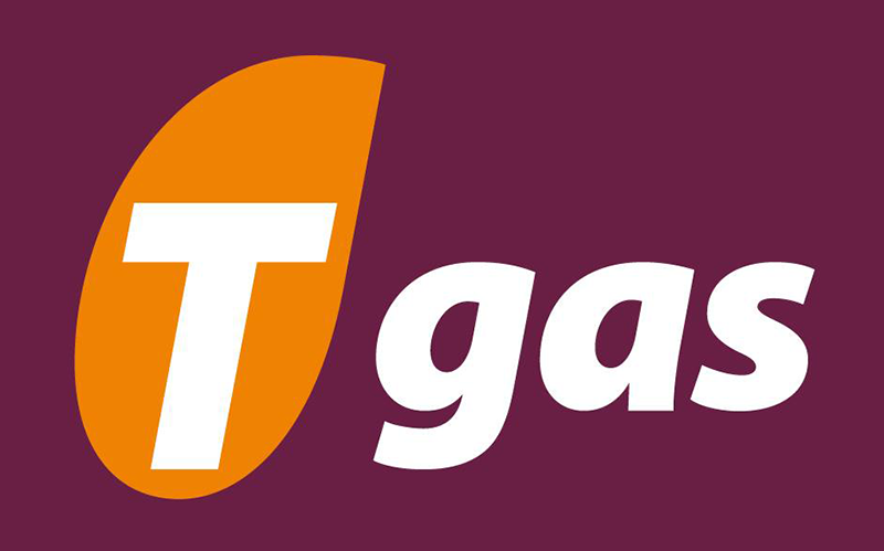 Estación de Servicio Tgas Las Caletillas