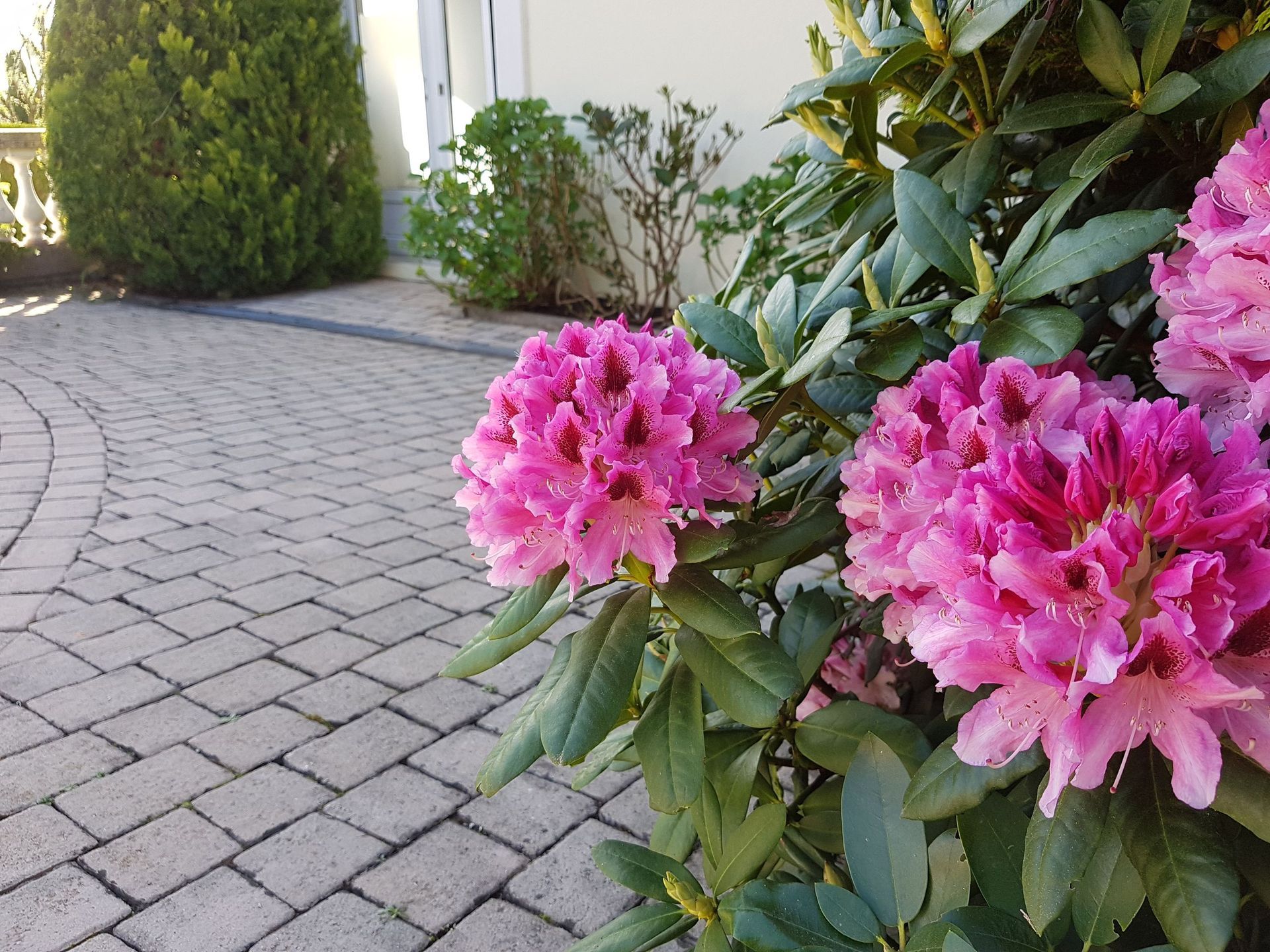 Créations paysagères - Domenico Iaderosa & Fils Sàrl