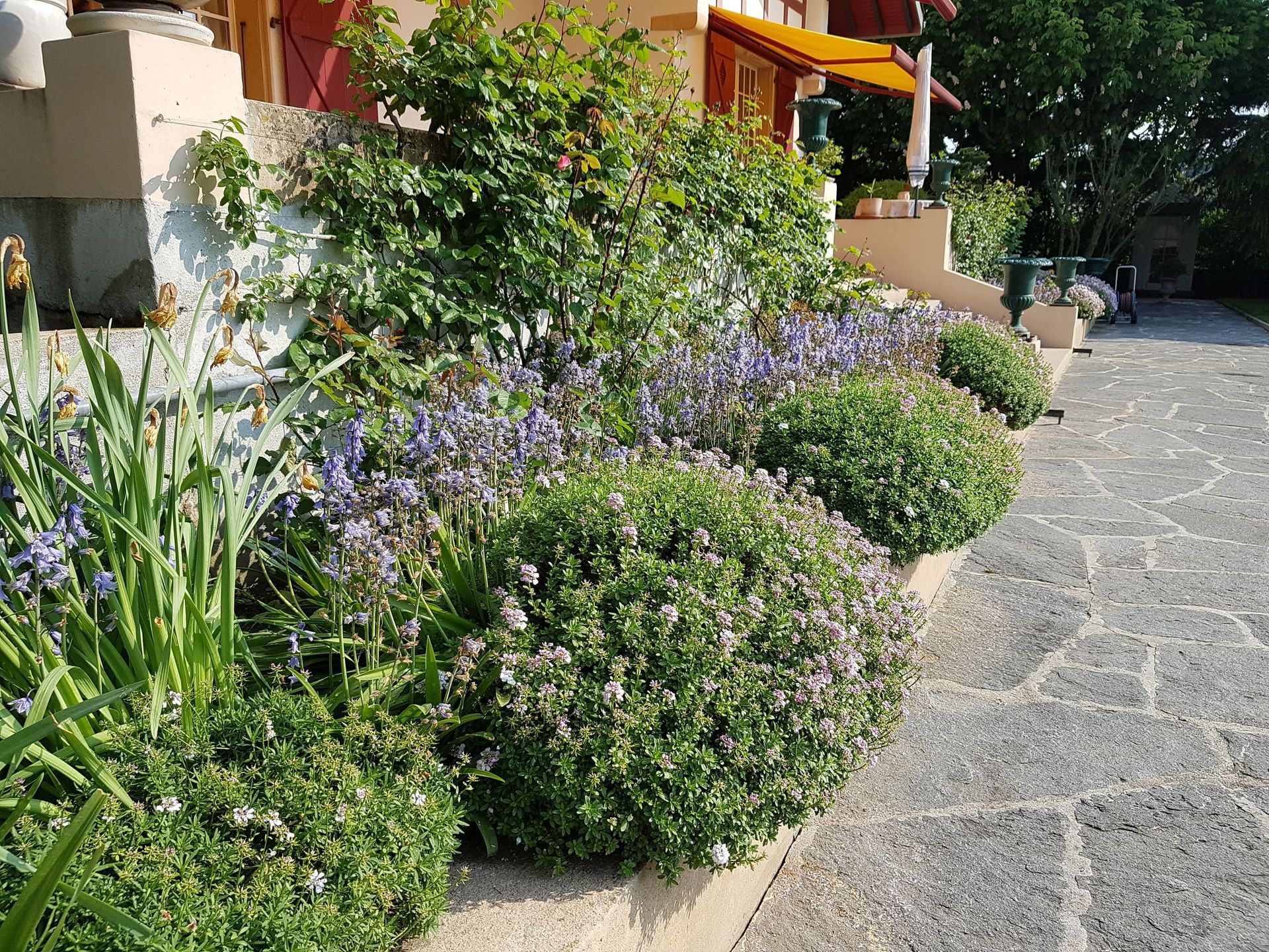 Domenico Iaderosa & Fils - bordure de fenêtre fleurie