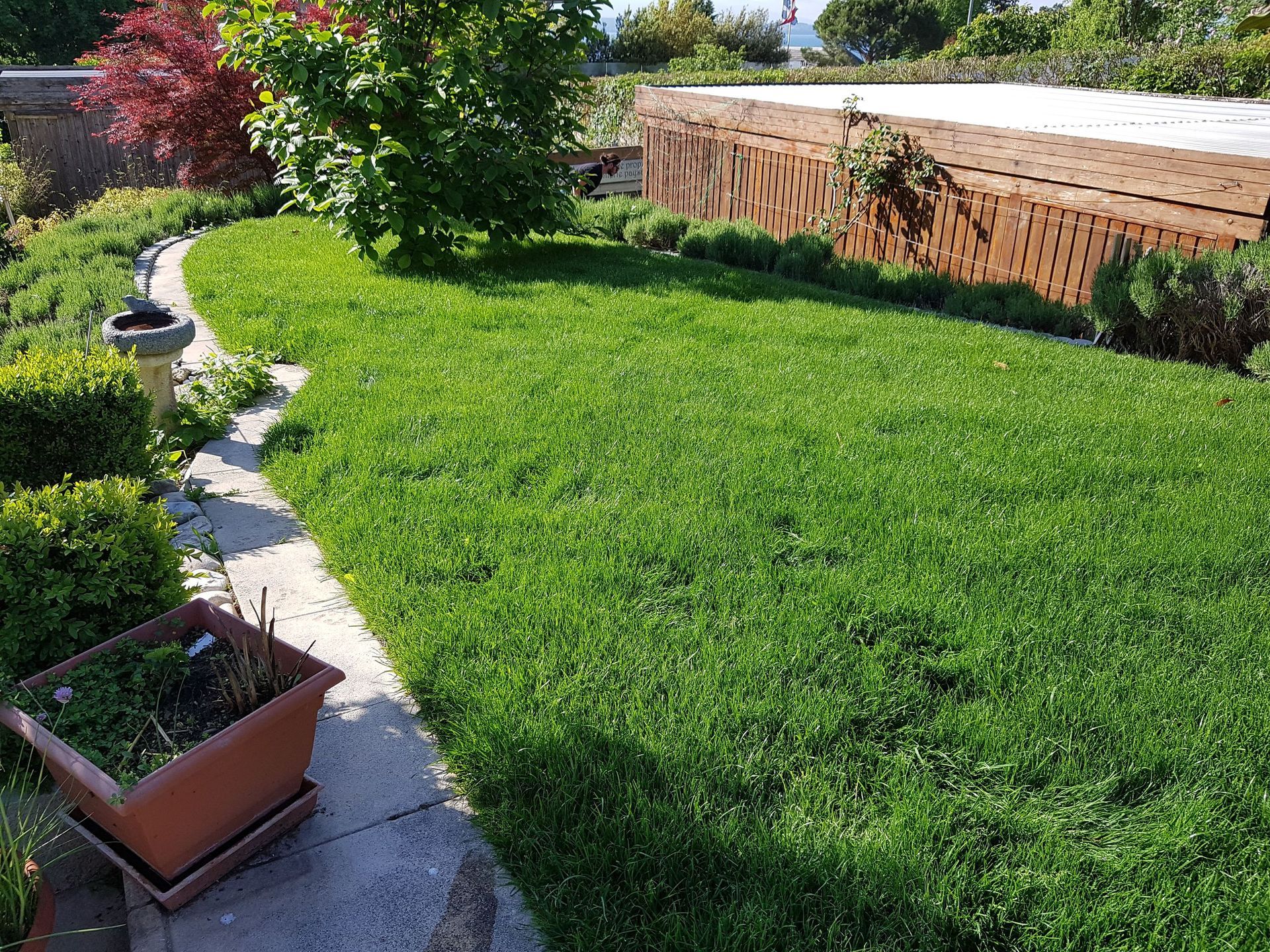 Domenico Iaderosa & Fils - pelouse entretenue