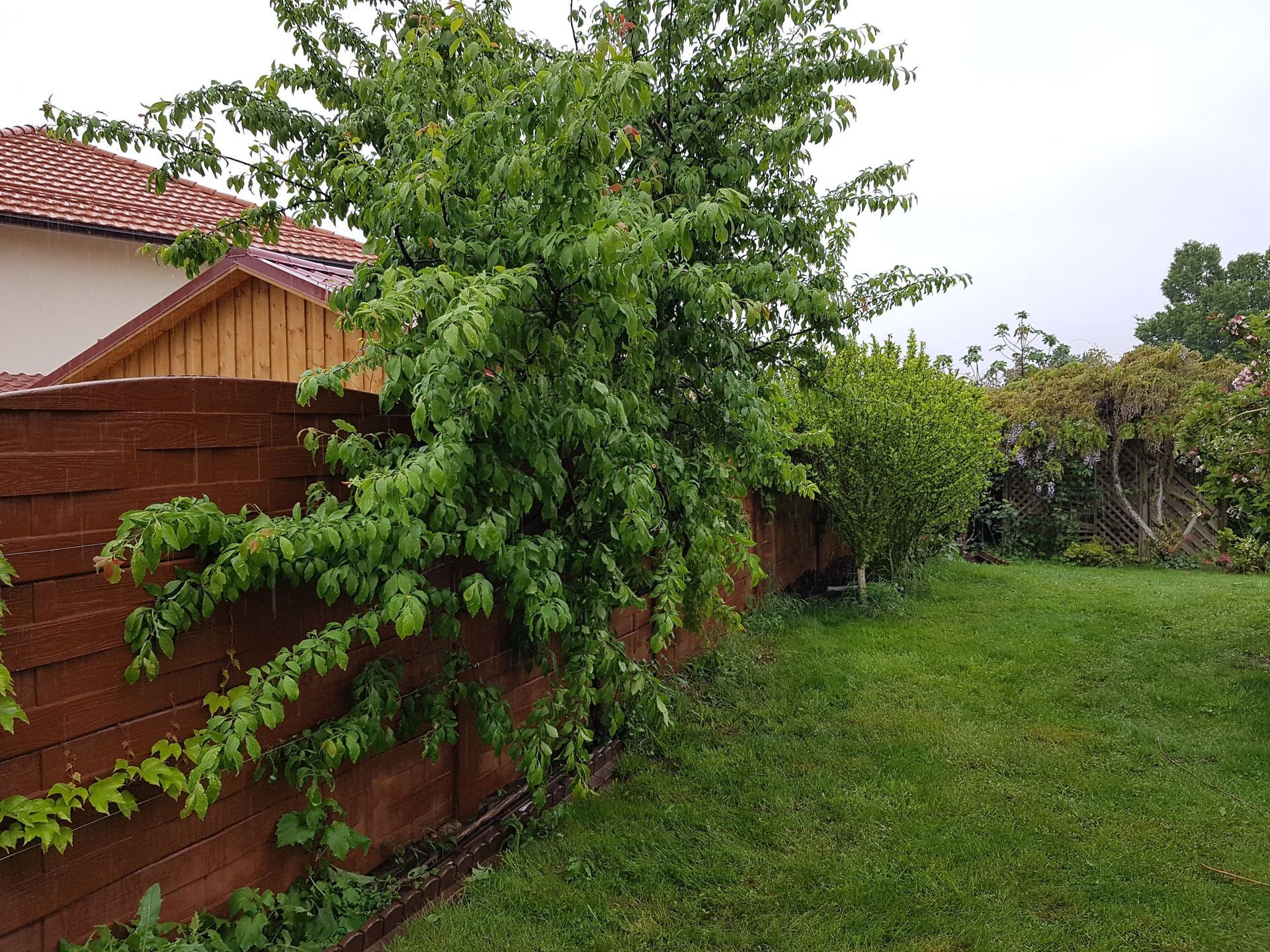 Domenico Iaderosa & Fils - entretien de gazon