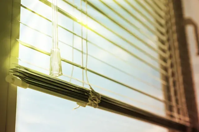 El sol brilla a través de las persianas de una ventana.