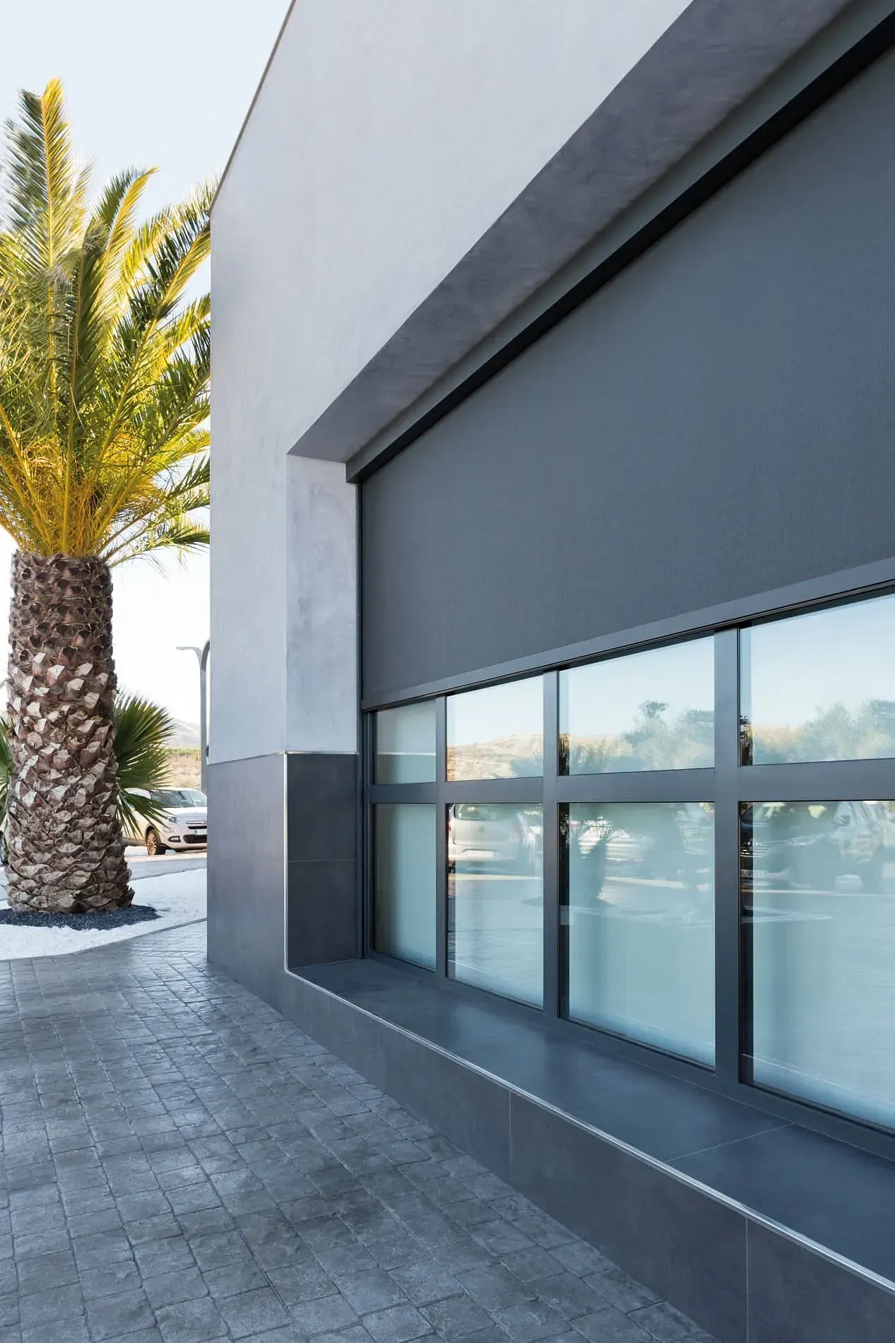 Un edificio con una palmera delante