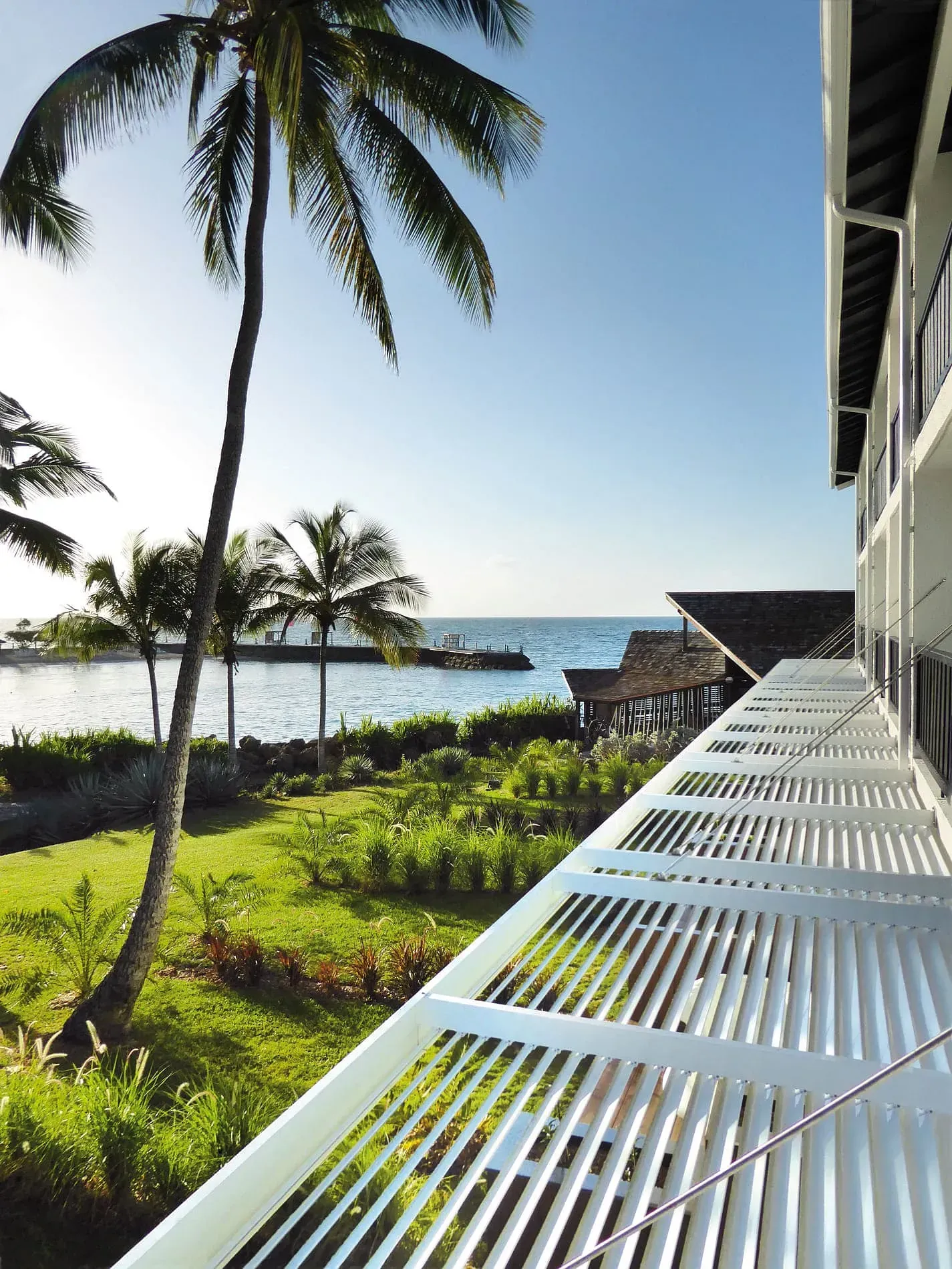 Una vista del océano desde un balcón con palmeras.