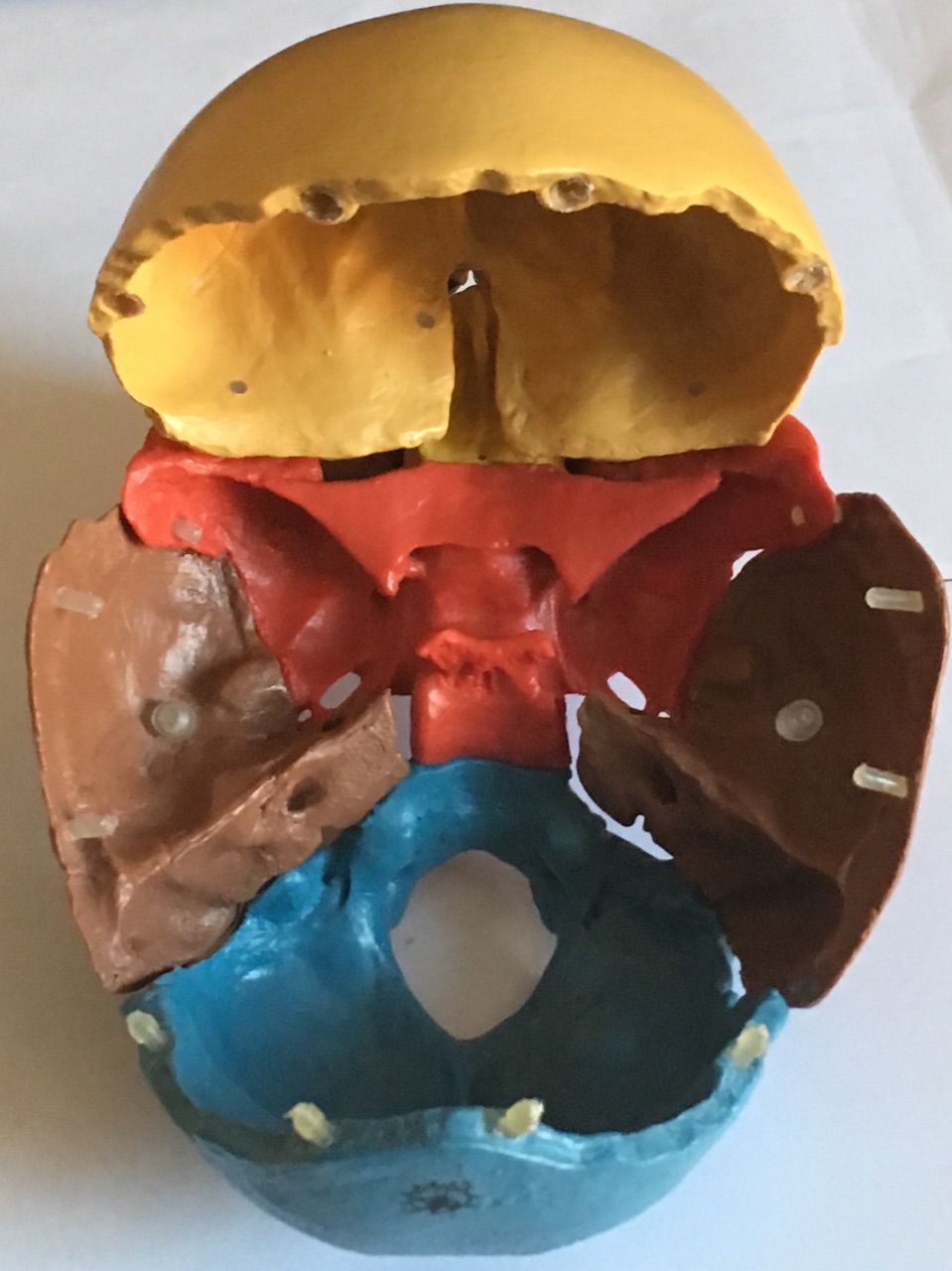 Cabinet d'ostéopathie Alexandre Beaud - os