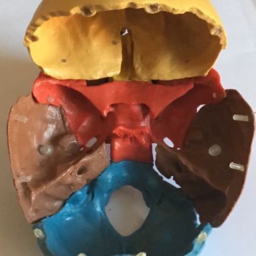 Cabinet d'ostéopathie Alexandre Beaud - os