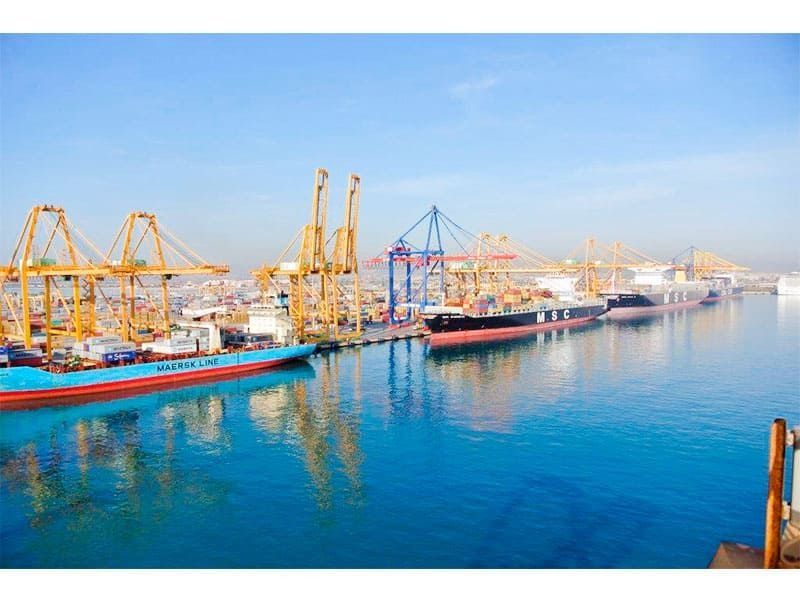 Un grupo de barcos están atracados en un puerto.