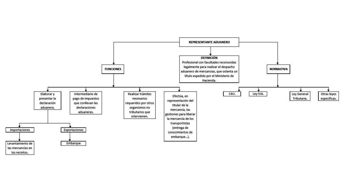 Un diagrama en blanco y negro de la estructura de una empresa sobre un fondo blanco.