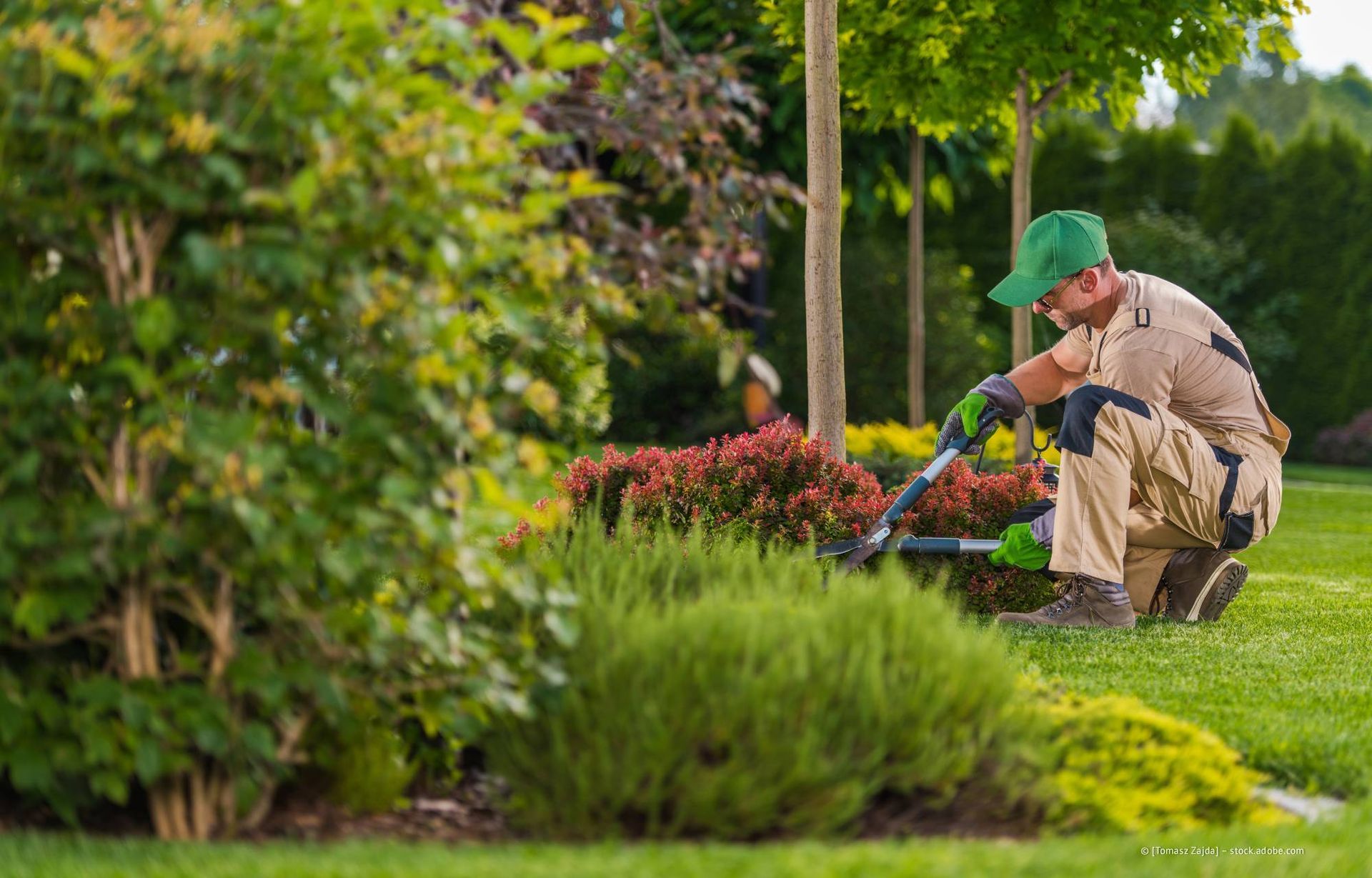 Ein Gärtner in beiger Arbeitskleidung stutzt mit einer Gartenschere Sträucher in einem gepflegten Garten.