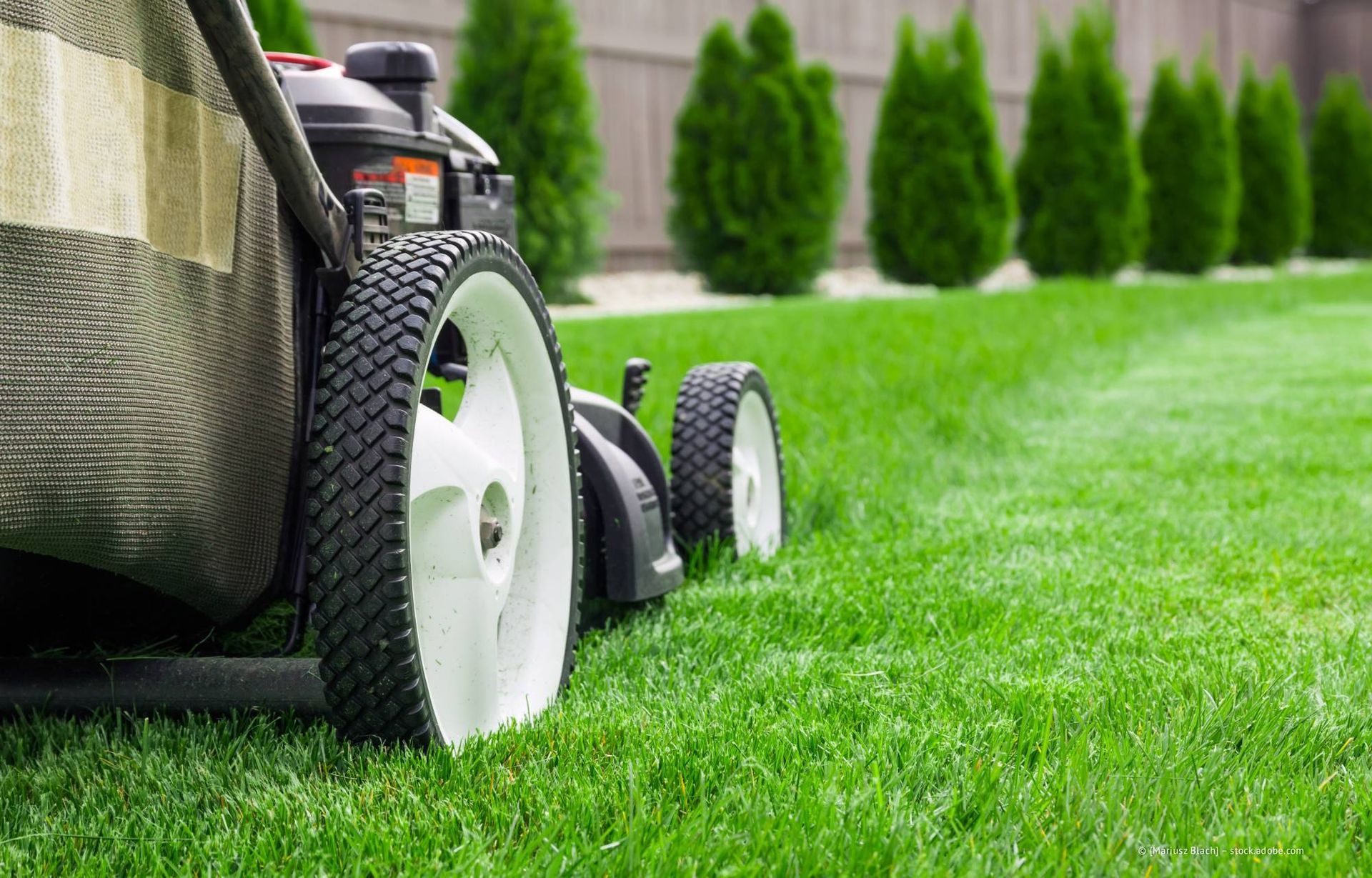 Ein Rasenmäher mäht einen leuchtend grünen Rasen, im Hintergrund ist eine Baumreihe zu sehen.