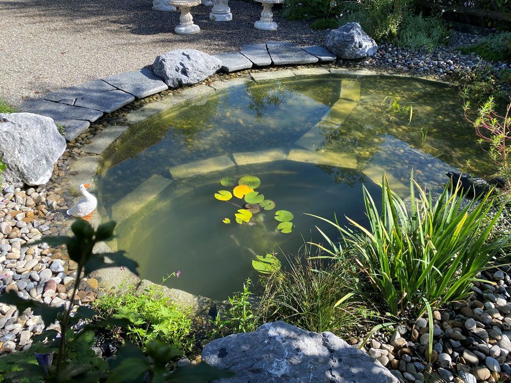 Ein Gärtner kniet, hält eine Gartengabel und lächelt. Blumen und Sträucher im Garten.