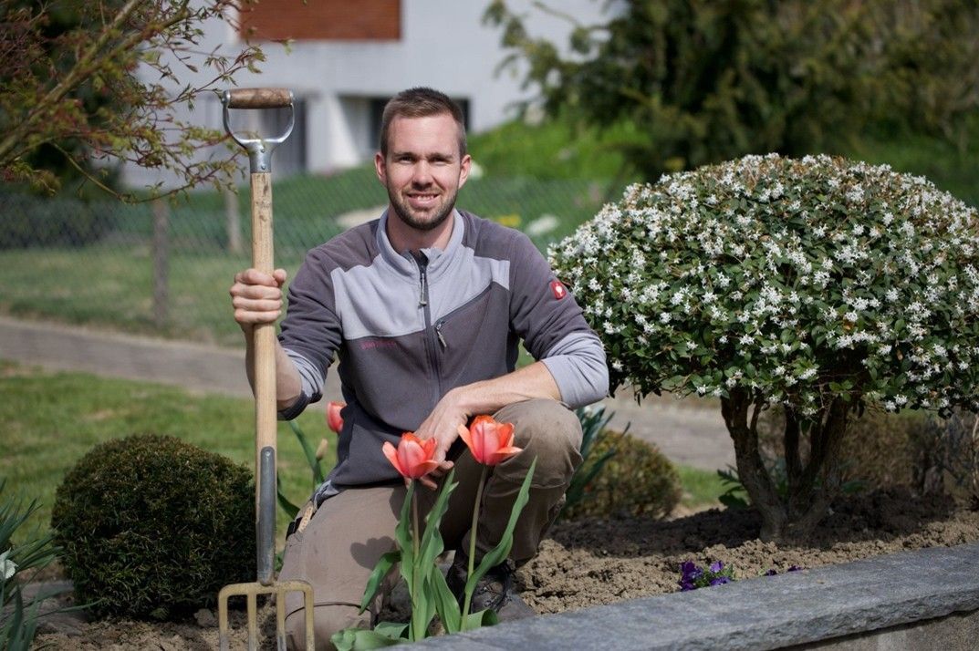 Ein Garten voller Blumen und Pflanzen an einem sonnigen Tag.
