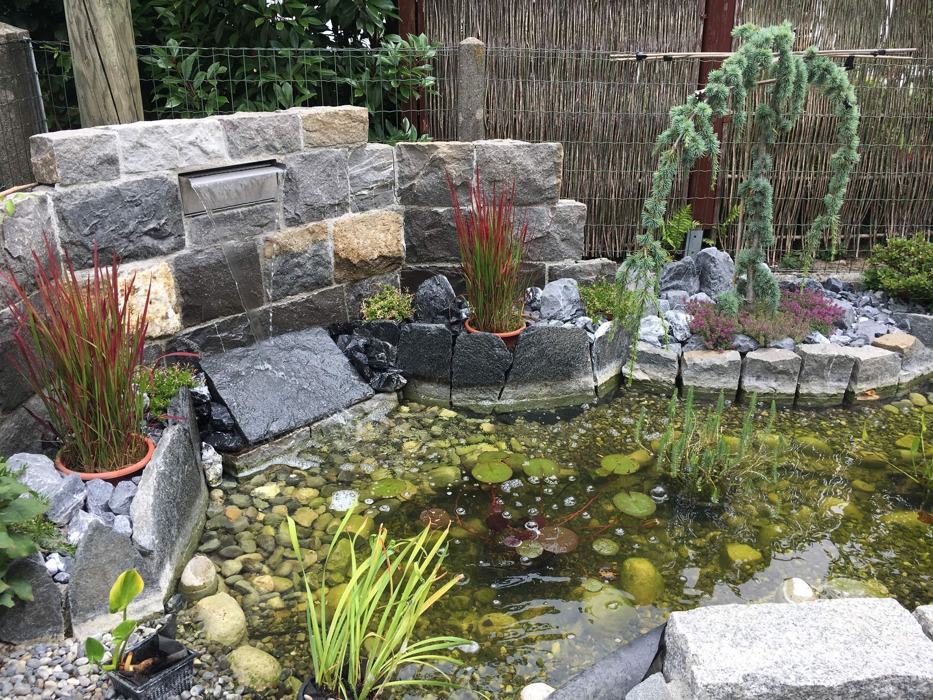 Ein kleiner Teich, umgeben von Felsen und Pflanzen in einem Garten.