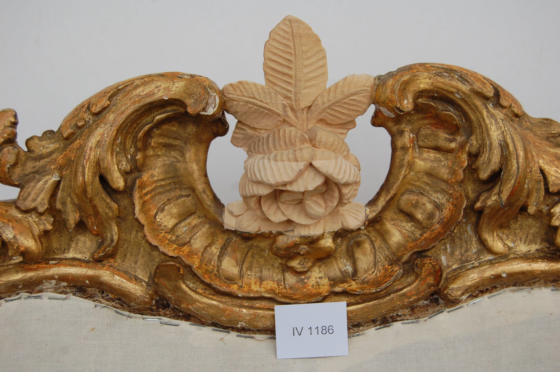 Verziertes, geschnitztes Wappen aus Gold mit zentralem floralen Blattmotiv auf weißem Hintergrund