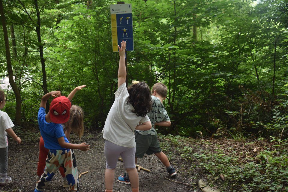 Kinder greifen in einem üppig grünen Wald nach einem Wegweiser, mit verschiedenen Armpositionen und Ausdrücken.