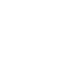 Icon Stern