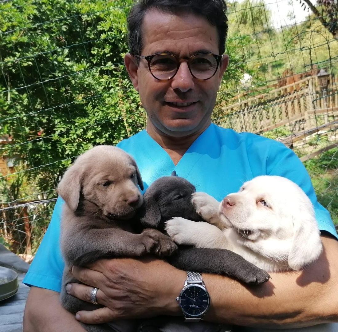 Cabinet vétérinaire du Sorby|Morges