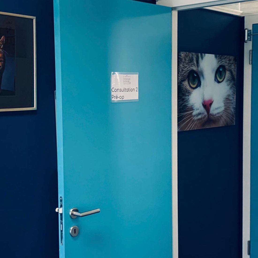 Cabinet vétérinaire du Sorby|Morges