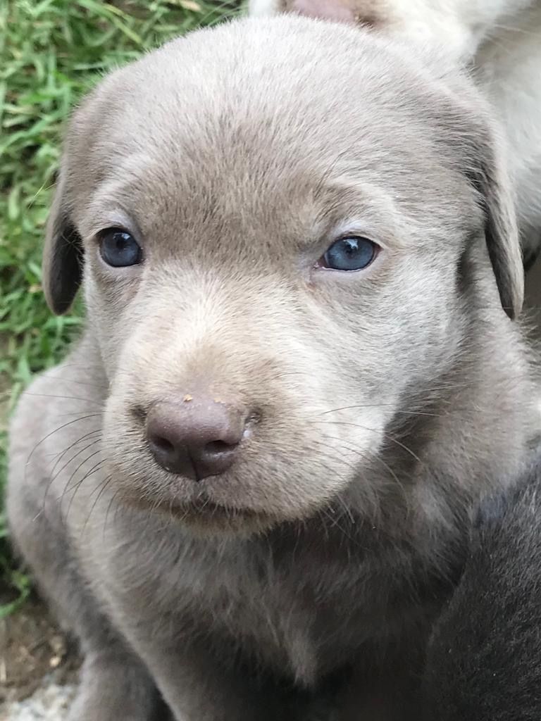 Cabinet vétérinaire du Sorby|Morges