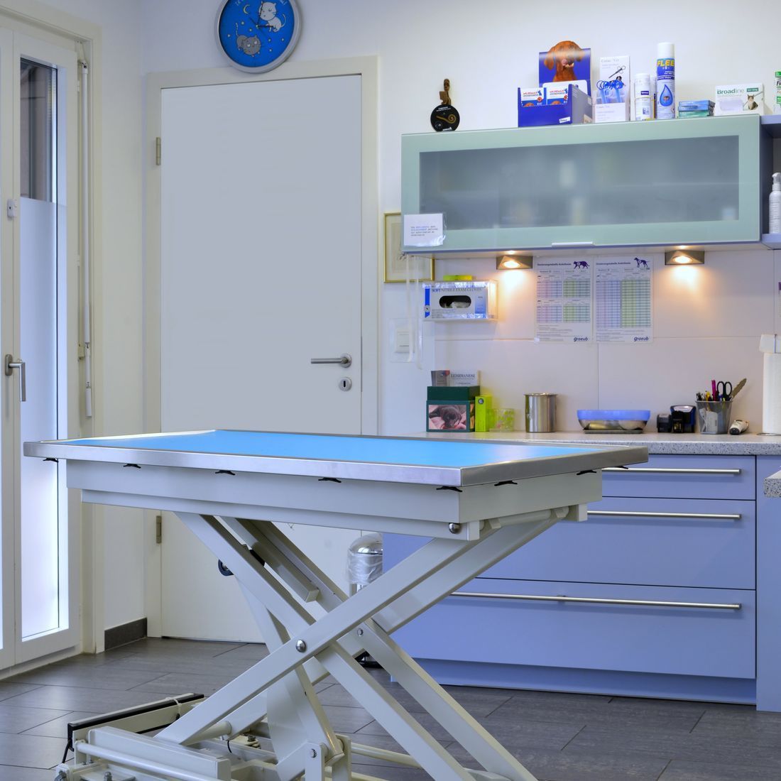 Cabinet vétérinaire du Sorby|Morges