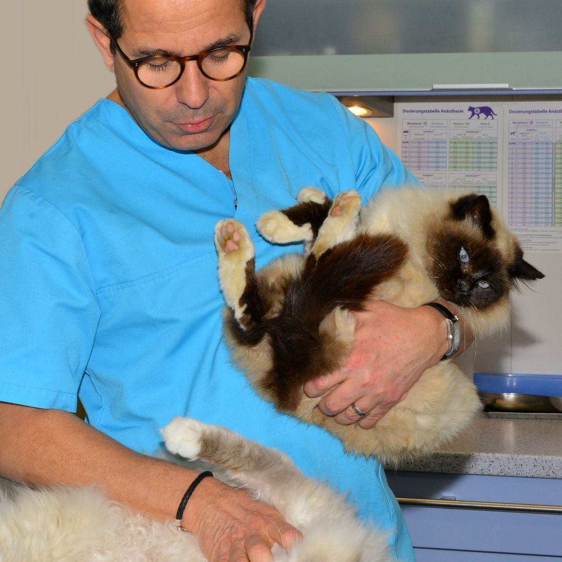 Cabinet vétérinaire du Sorby|Morges