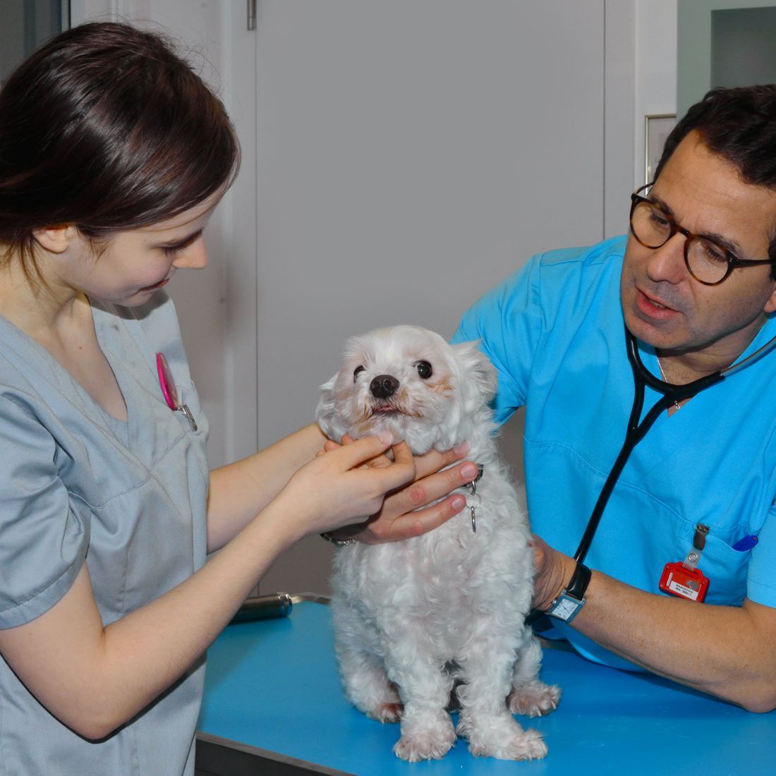 Cabinet vétérinaire du Sorby|Morges