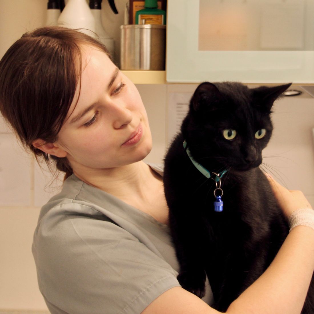 Cabinet vétérinaire du Sorby|Morges