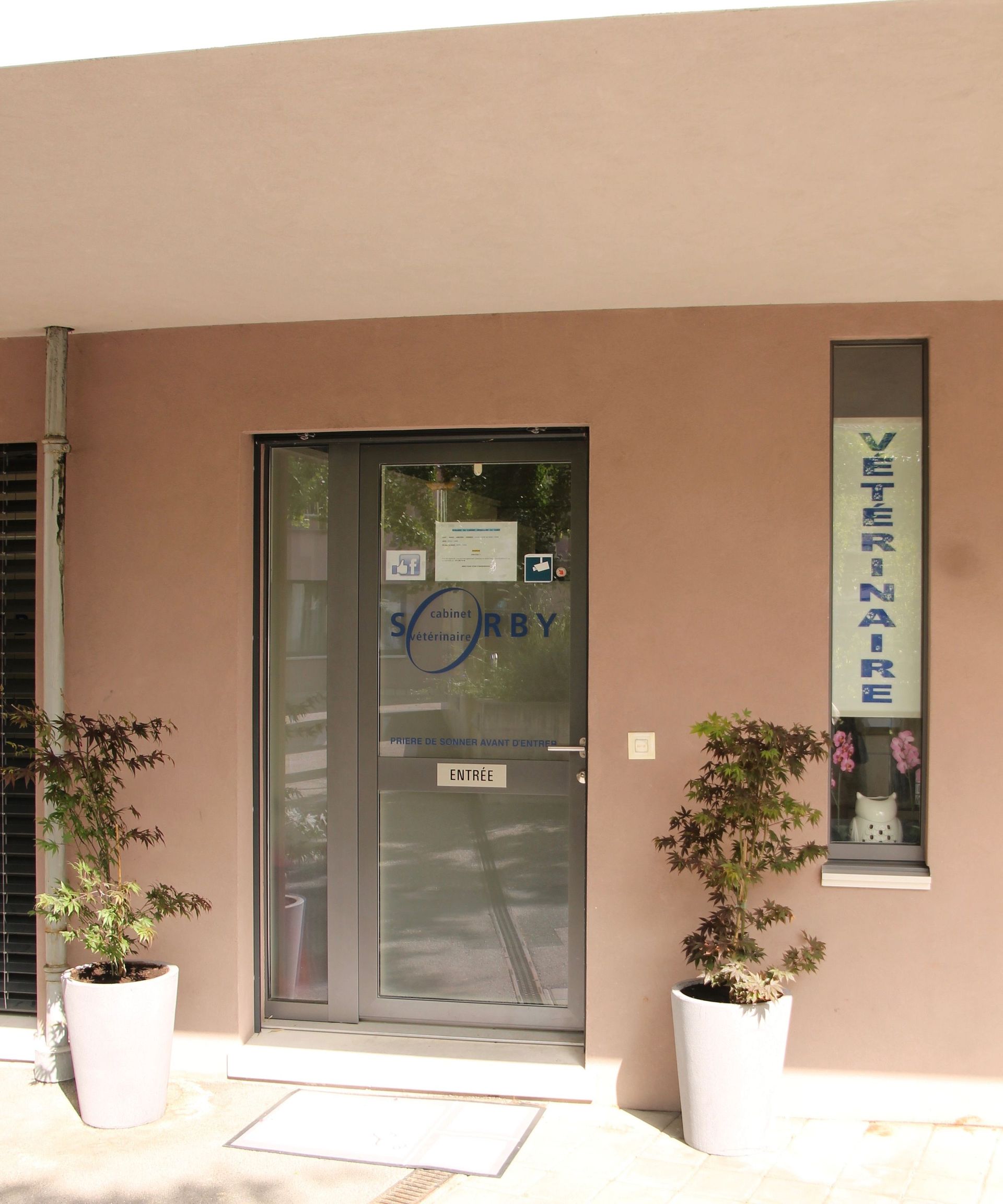 Cabinet vétérinaire du Sorby|Morges