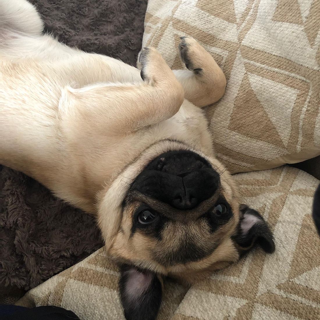 Cabinet vétérinaire du Sorby|Morges