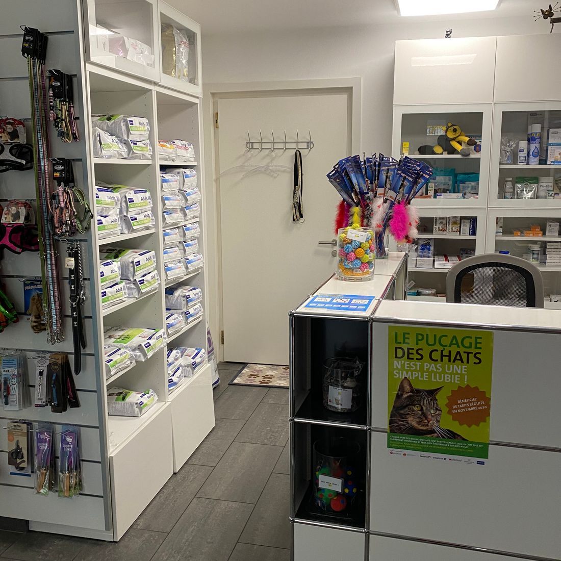 Cabinet vétérinaire du Sorby|Morges