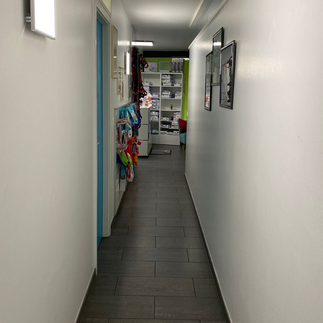 Cabinet vétérinaire du Sorby|Morges