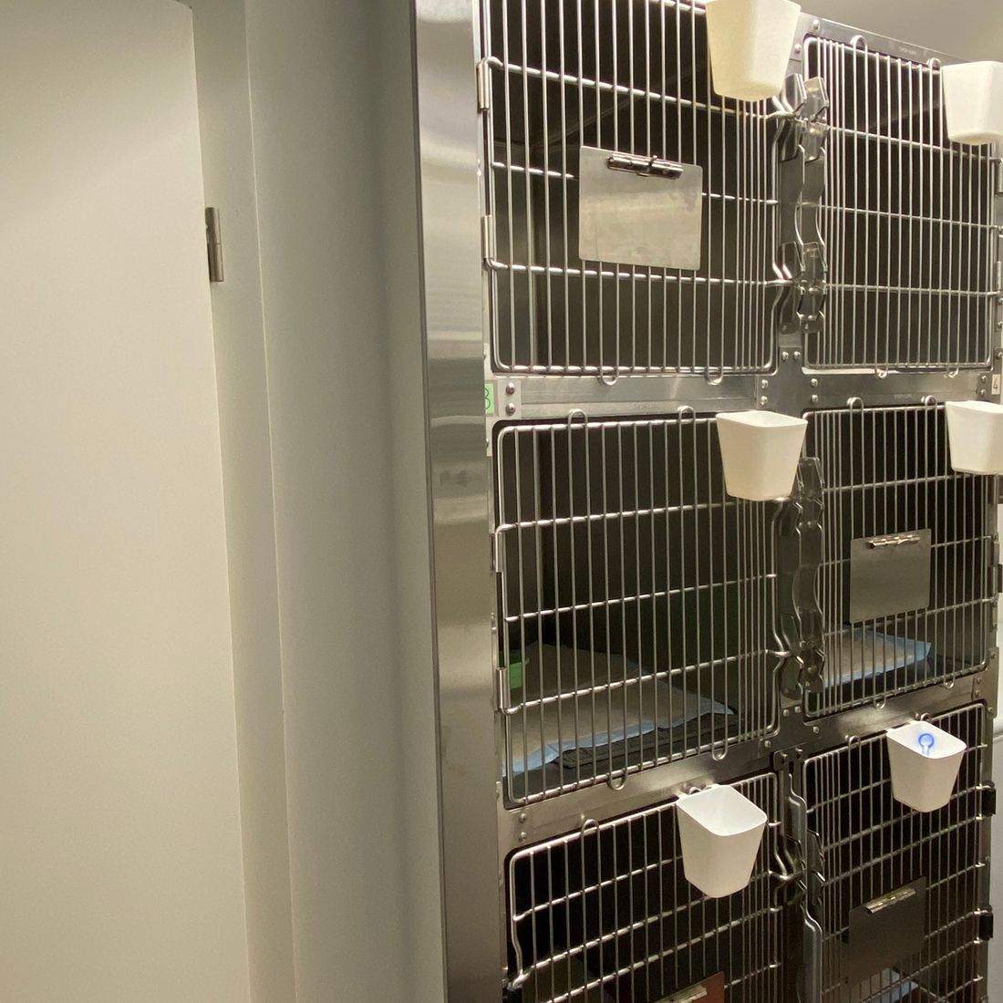 Cabinet vétérinaire du Sorby|Morges