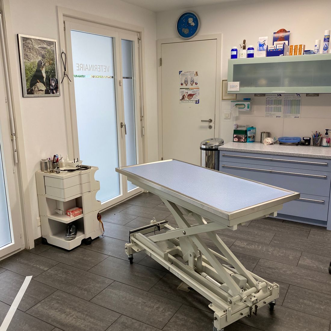 Cabinet vétérinaire du Sorby|Morges