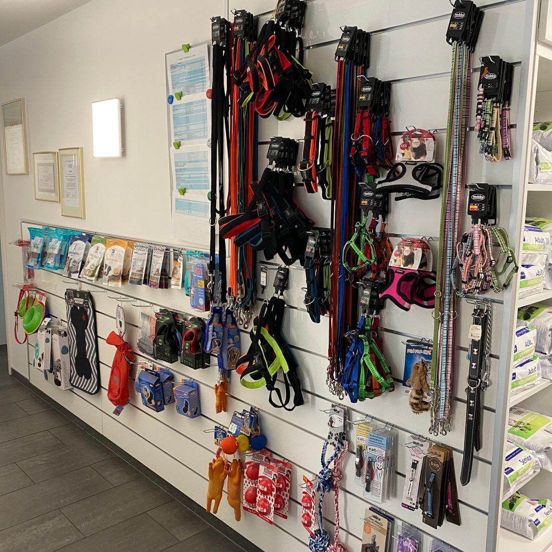 Cabinet vétérinaire du Sorby|Morges