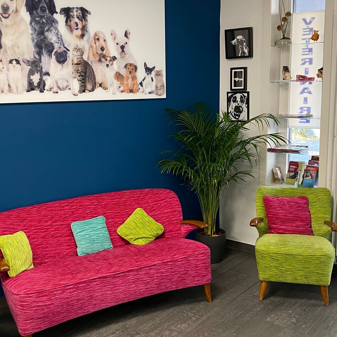 Cabinet vétérinaire du Sorby|Morges