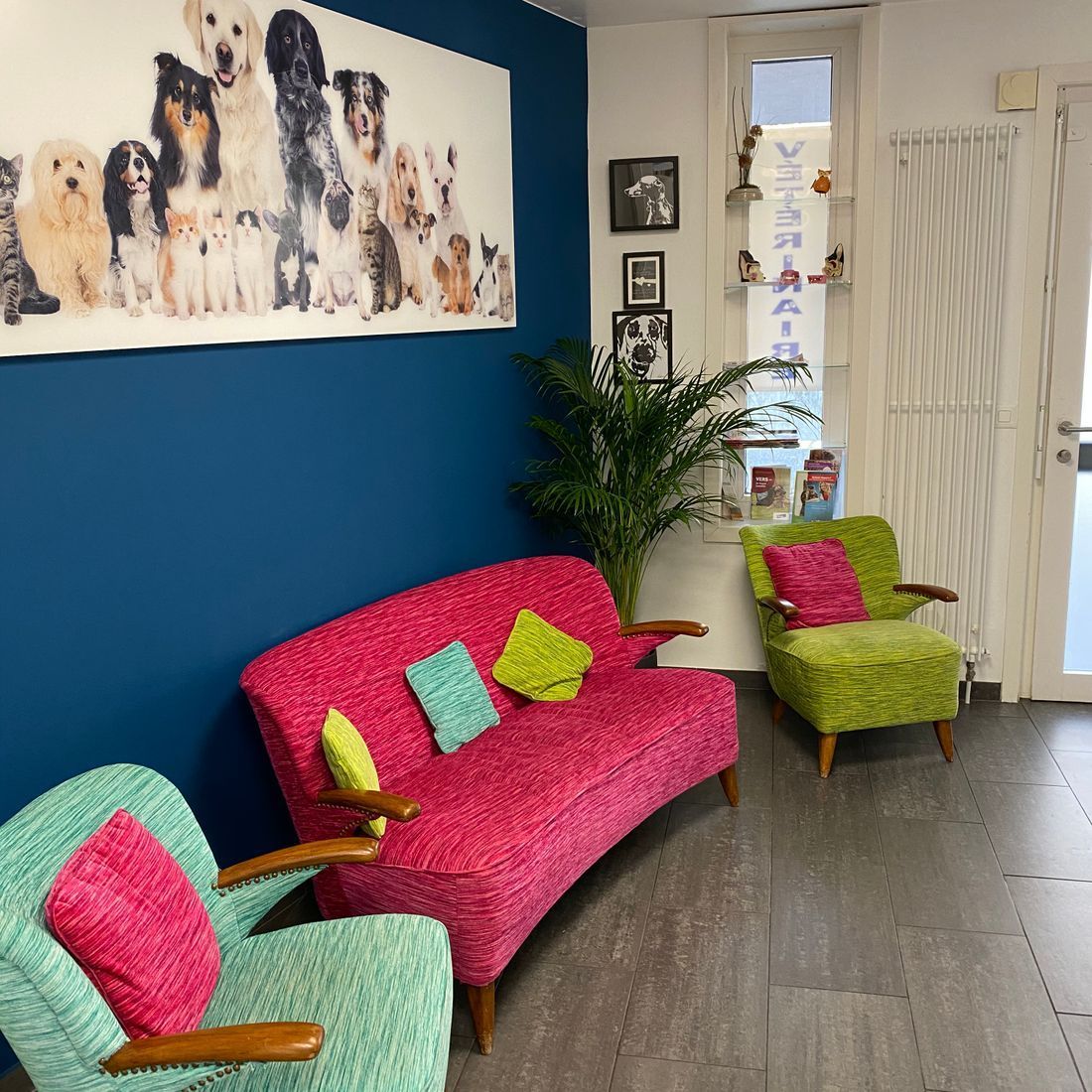 Cabinet vétérinaire du Sorby|Morges